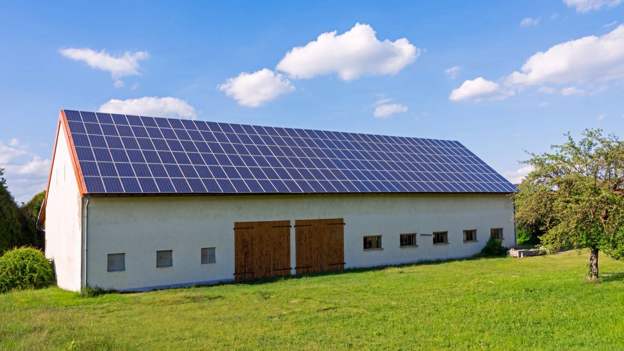 Agroenergia, czy to coś dla mnie?