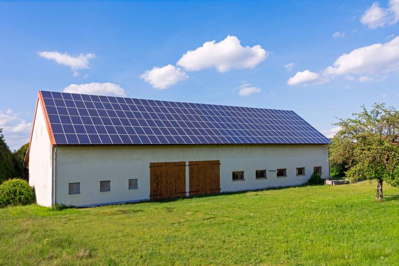 Agroenergia, czy to coś dla mnie?